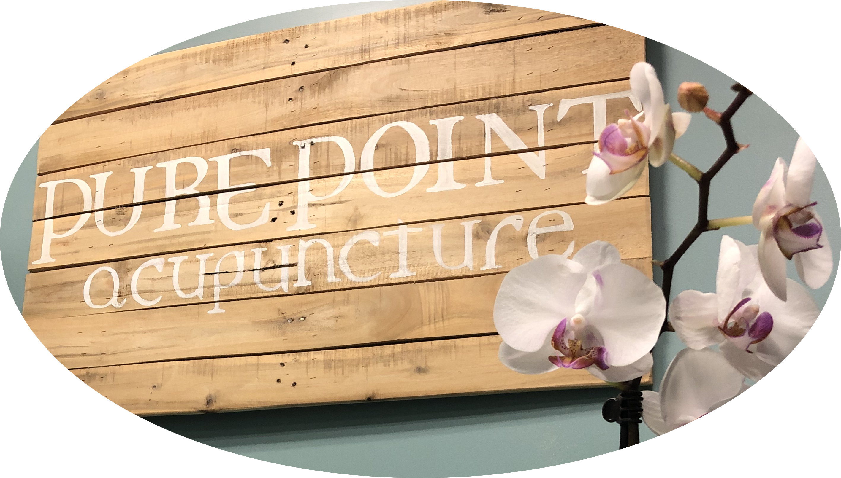 Pure Point Acupuncture Minnesota